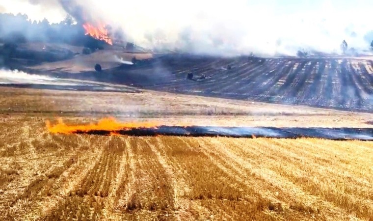 Kütahyada ormana sıçrayan anız yangını büyümeden söndürüldü