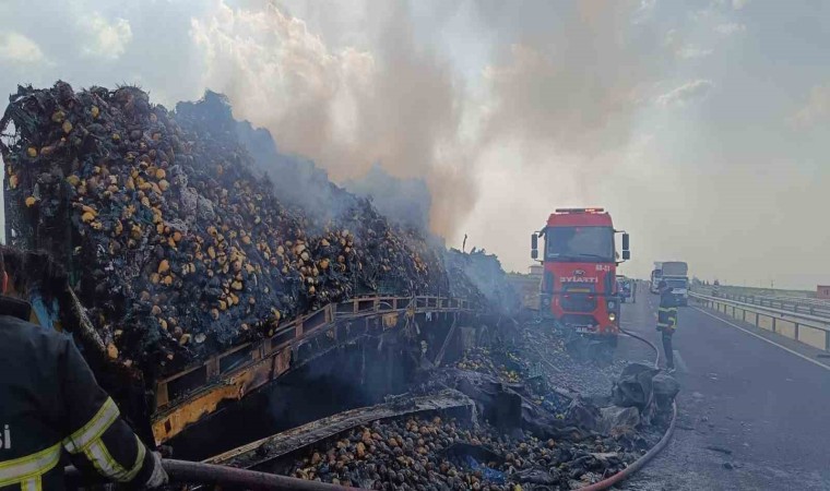 Mardinde armut yüklü tır alevlere teslim oldu