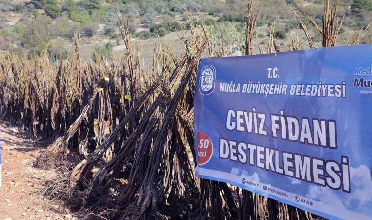 Muğla Büyükşehirden ‘Her Kapıda Bir Fidan projesi