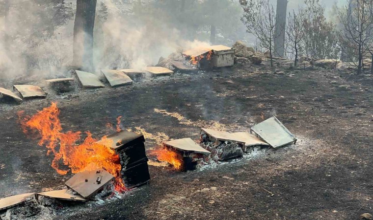 Muğla Büyükşehirden yangından etkilenen arıcılara destek