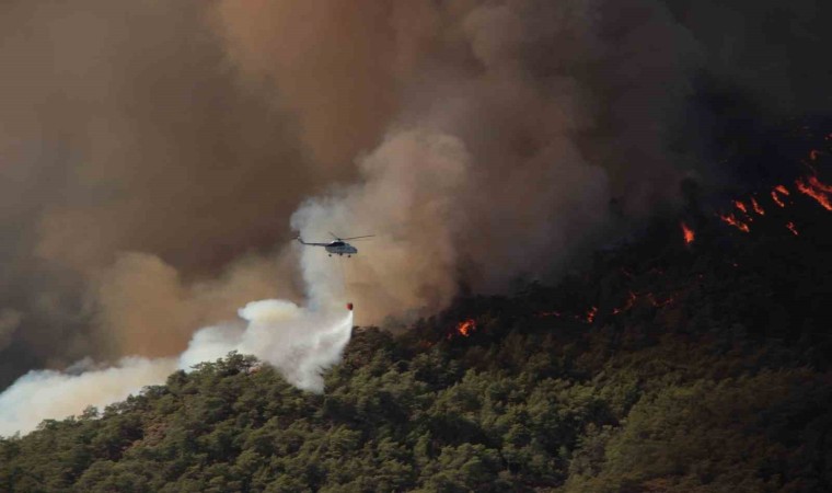 Muğlada 385 orman yangınında bin 148 hektar alan yandı