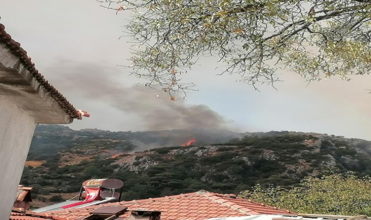 Muğlada orman yangını