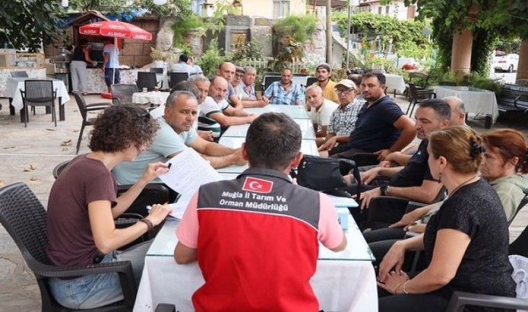 Muğlada tarımsal üretim planlaması toplantıları devam ediyor