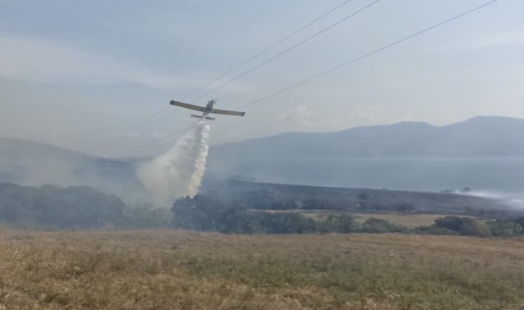 Paşalimanı Adasında yangın...Karadan ve havadan müdahale sürüyor