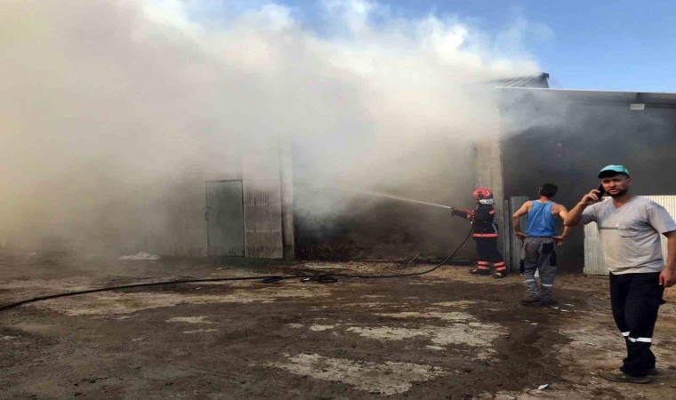 Sakaryada 2 ahır ve 2 samanlık alevlere teslim oldu: 1 yaralı