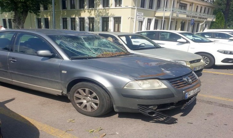 Sakaryada çürüyen ağaç devrildi, 4 araç hasar gördü