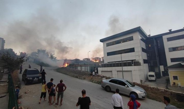 Sakaryada korkutan yangın: Mahalleli sokağa döküldü