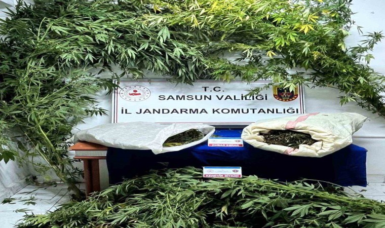 Samsunda jandarma 8 kilo kubar esrar ele geçirdi