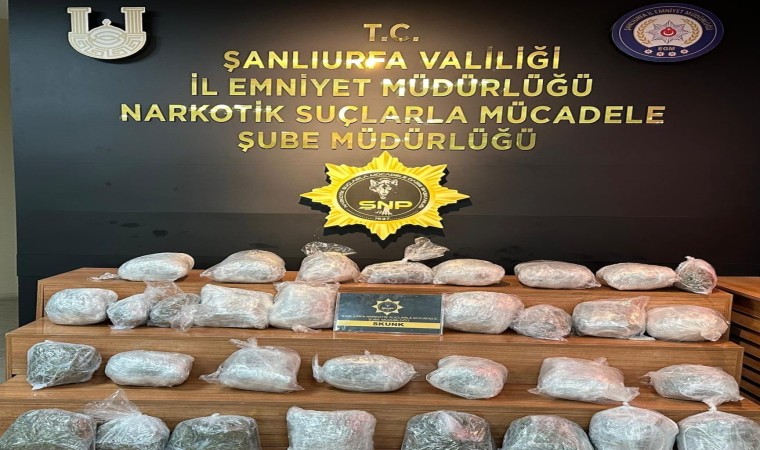 Şanlıurfada 23 kilo skunk ele geçirildi