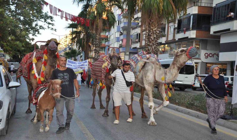 Silifkede festival coşkusu