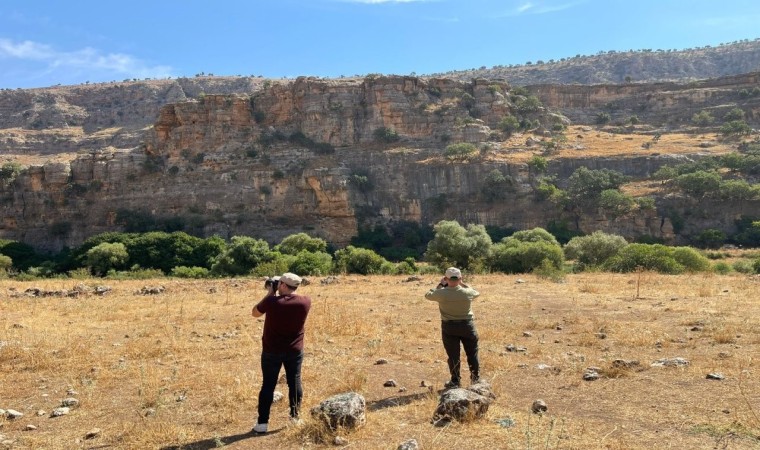 Şırnakta kaçak avcılığa karşı ekipler denetimlere devam ediyor