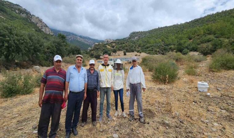 Sökede arıcılık desteklemeleri için kovan tespit çalışmaları devam ediyor