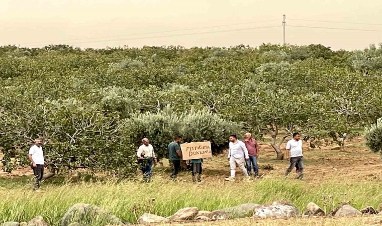 Suruçta köylülerden Şanlıurfa Büyükşehir Belediyesine imar tepkisi