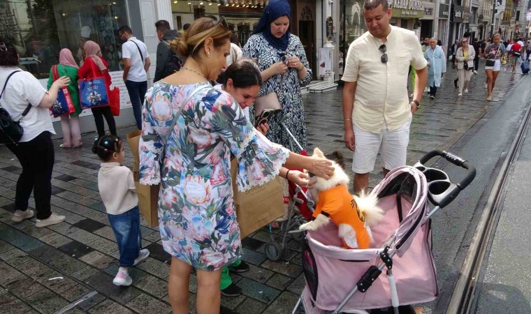 Taksim Meydanında bebek arabasında gezdirilen köpek ilgi odağı oldu