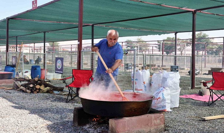 Talasta ‘Kışa Hazırlık Günleri başladı