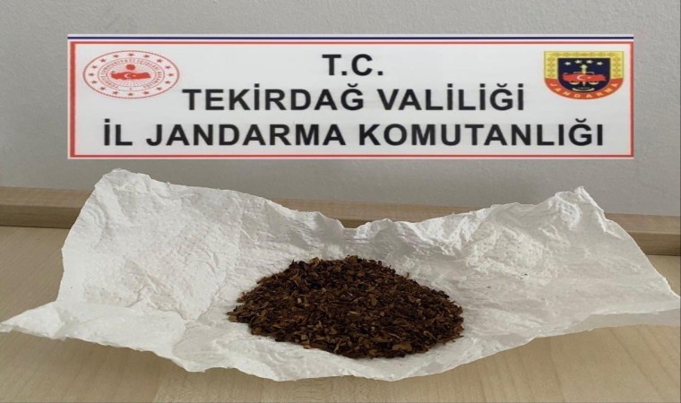 Tekirdağda Jandarma operasyonları: Uyuşturucu ve silah ele geçirildi