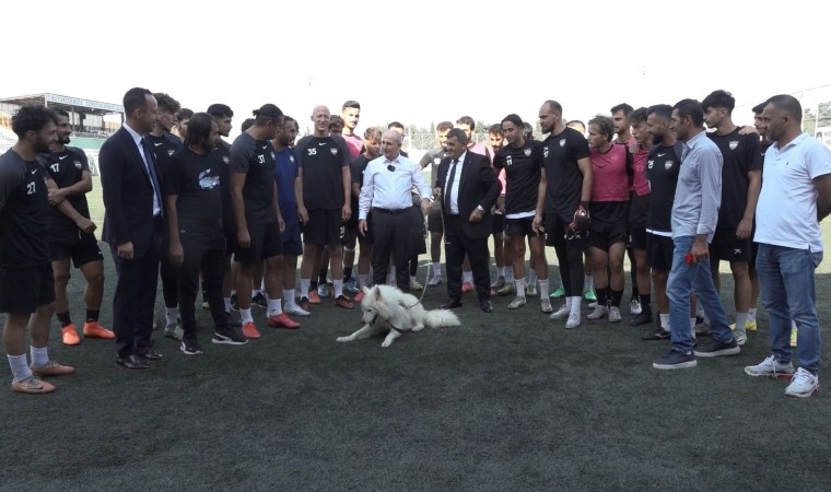 Tepecik Sporun sahiplendiği sevimli köpek takımın maskotu oldu