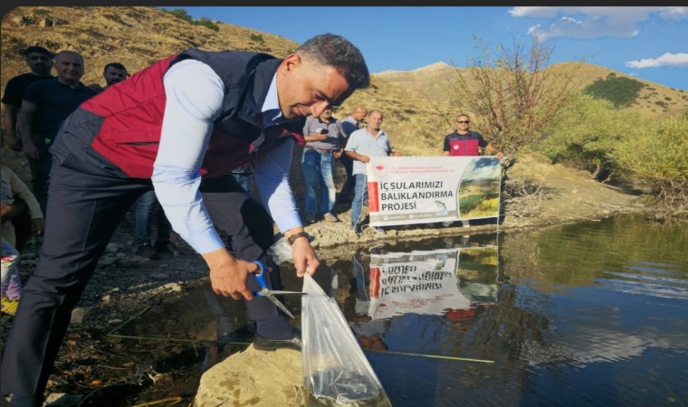 Tuncelide 1 milyon 670 bin yavru sazan salındı