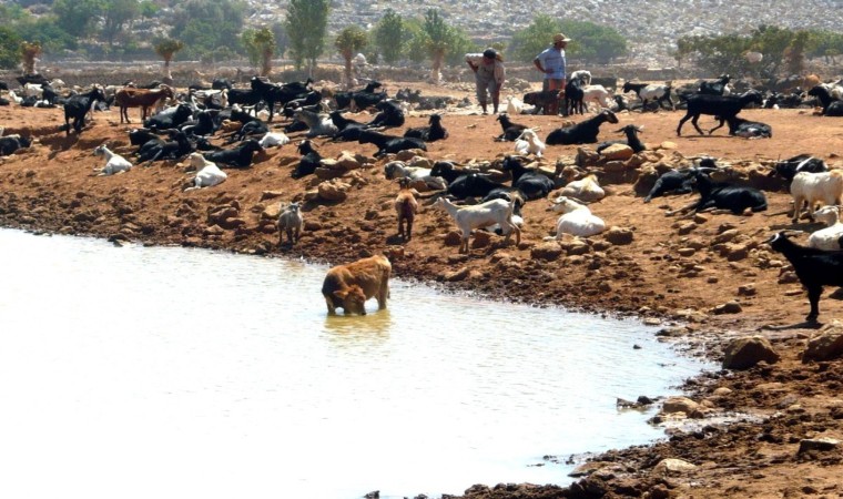 Turizm kenti Marmaristeki asırlık su hikayesinde mutlu sona yaklaşıldı