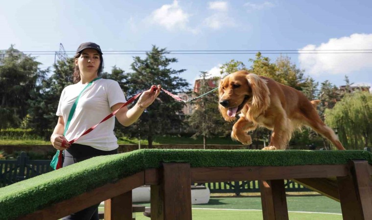 Türkiyenin en kapsamlı Köpek Eğitim Merkezi Ümraniyede