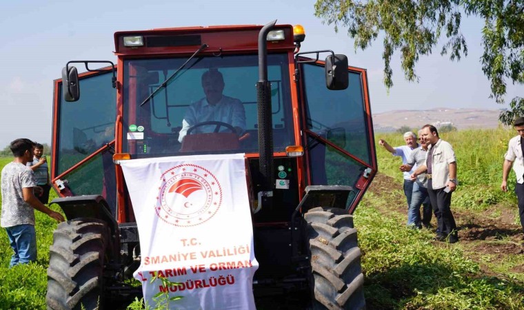 Yer fıstığının başkenti Osmaniyede hasat başladı