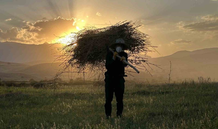 Yüksekovada çiftçilerin kış hazırlığı başladı