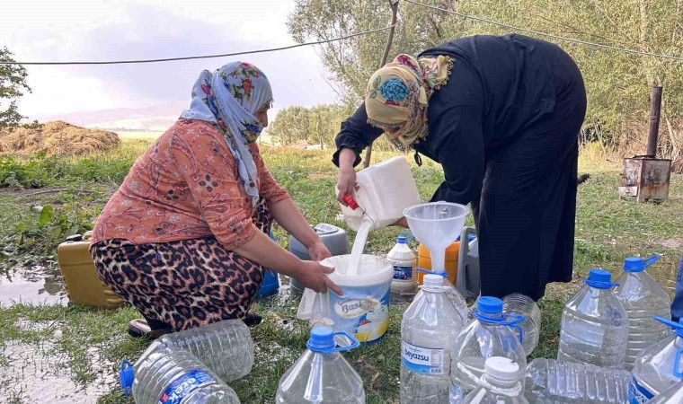 Yüksekovada kışlık süt mesaisi