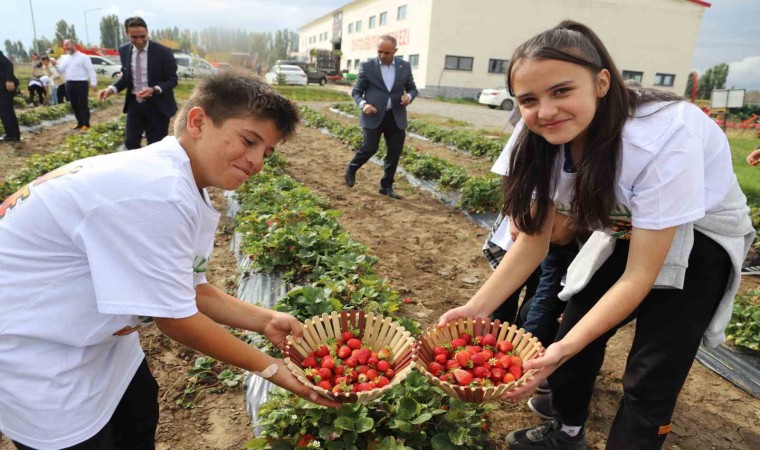 16 Ekim Dünya Gıda Gününde bir araya gelen öğrenciler hasat yaptı