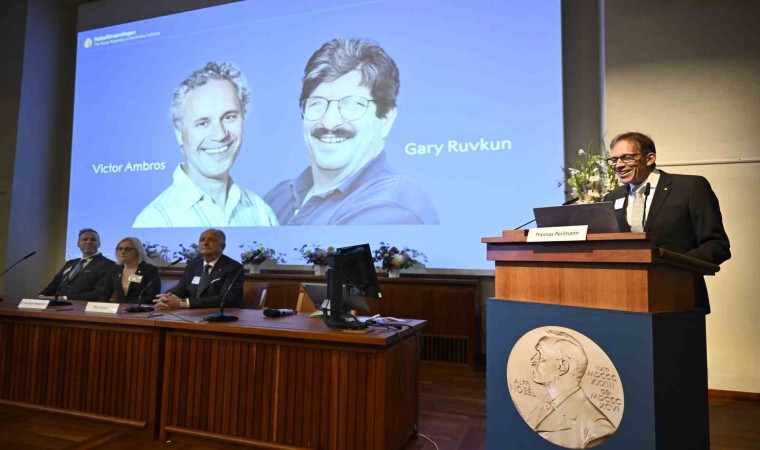 2024 Nobel Tıp Ödülüne ABDli biyologlar Ambros ve Ruvkun layık görüldü