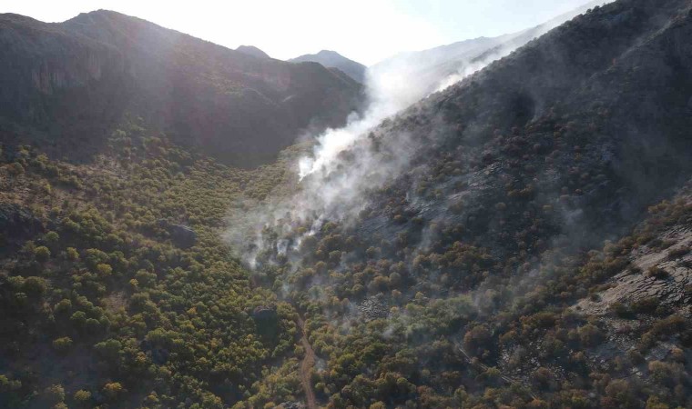 Adıyamanda 2 gündür süren orman yangını devam ediyor