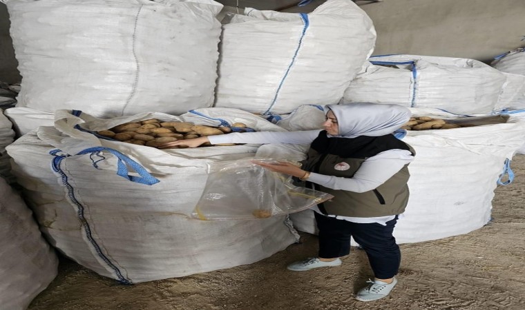 Afyonkarahisarda Tunusa 132 ton patates ihracatı yapıldı