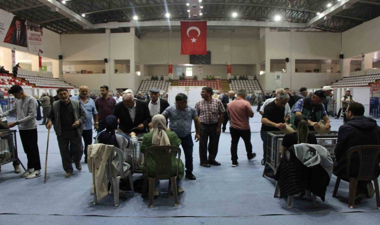 Amasya Pancar Ekicileri Kooperatifi seçimini Mustafa Saatcı kazandı