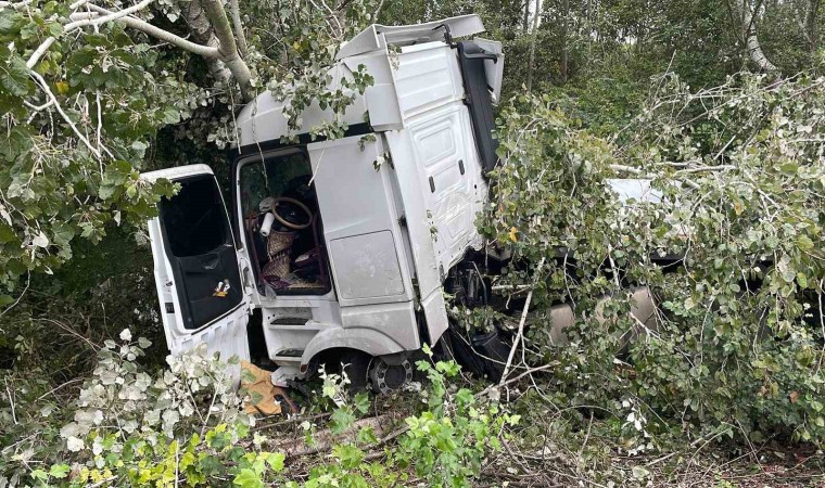 Anadolu Otoyolunda kontrolden çıkan tır, ağaca çarparak durabildi: 1 yaralı