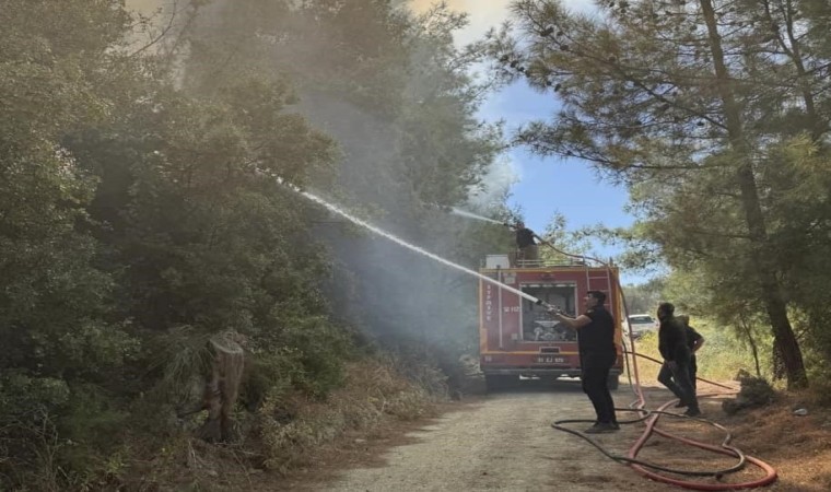 Antakyada orman yangını kısa sürede söndürüldü