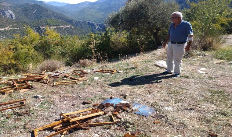 Antalyada aç kalan ayılar kovanları parçaladı