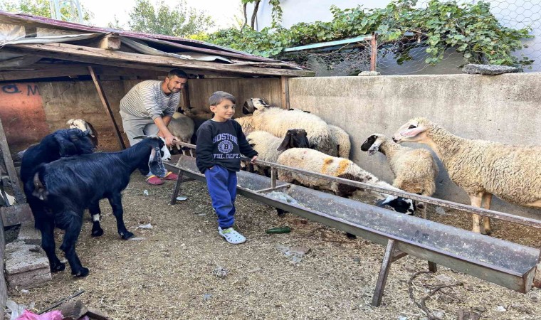 Arabasını satarak hayvancılığa başlayan depremzede baba ve böbrek hastası 2 evladının umudu olan 22 koyunu polis ekipleri buldu