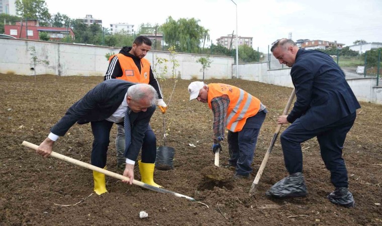 Atakumdaki okullarda meyve ağaçları yetiştirilecek