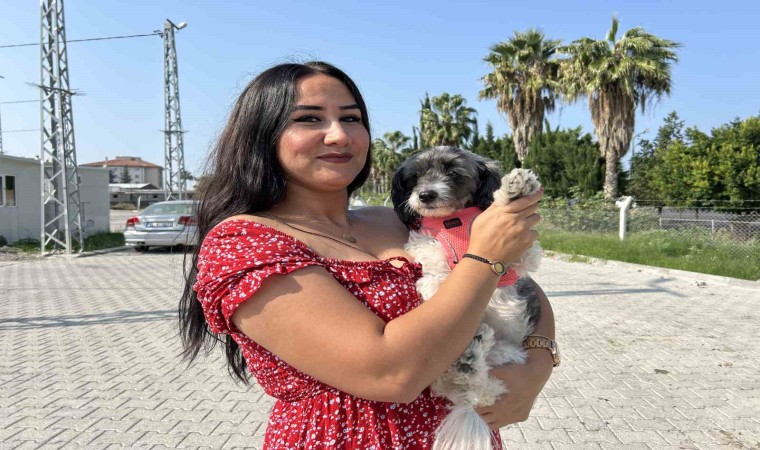 Aylardır sahibine ulaşılamayan Şilanın yeni yuvası depremzede ailenin konteyneri oldu