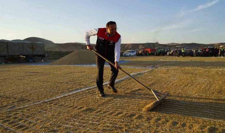 Bakan Yardımcısı Gizligider Çankırıda çeltik hasadına katıldı