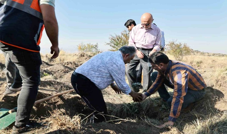 Başkan Yalçın: Diktiğiniz fidanlar dünyaya iyilik olarak yansıyacak