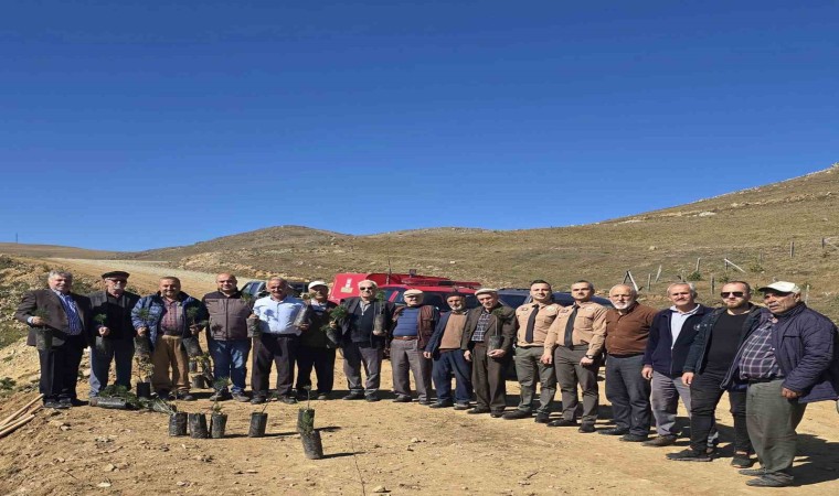 Bektaş Yaylasında fidan dikim etkinliği düzenlendi