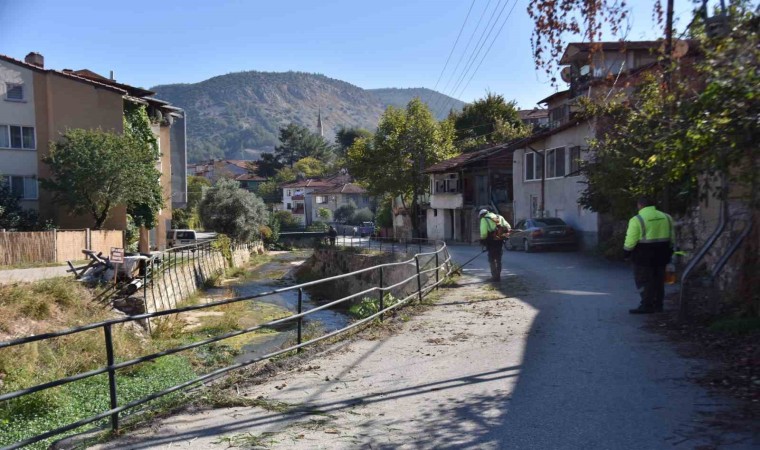 Bilecikte dalakdere ve çevresinde kapsamlı temizlik