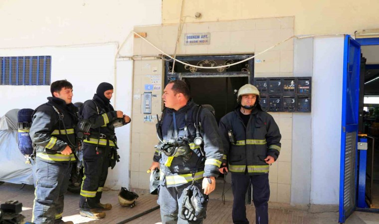 Bodrum katta çıkan yangın sonrası yavru kedi alarmı