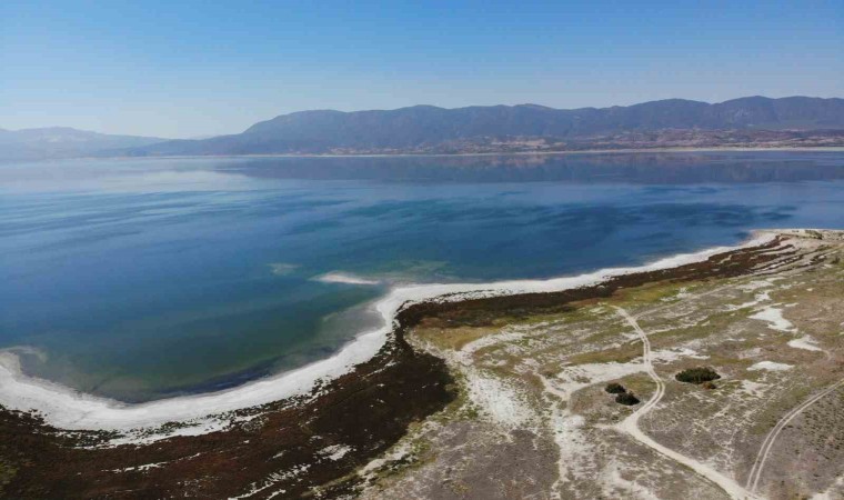 Burdurlu Gazeteciler kuraklıkla boğuşan Burdur Gölünü kurtarmak için fidan dikti