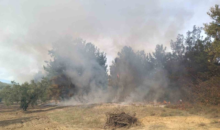 Bursada korkutan orman yangını