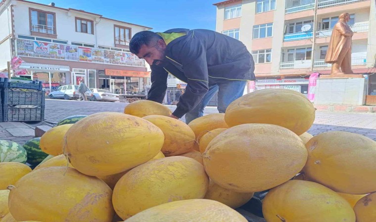 Çemişgezekin her mevsime dirençli kış kavunu tezgahlardaki yerini aldı