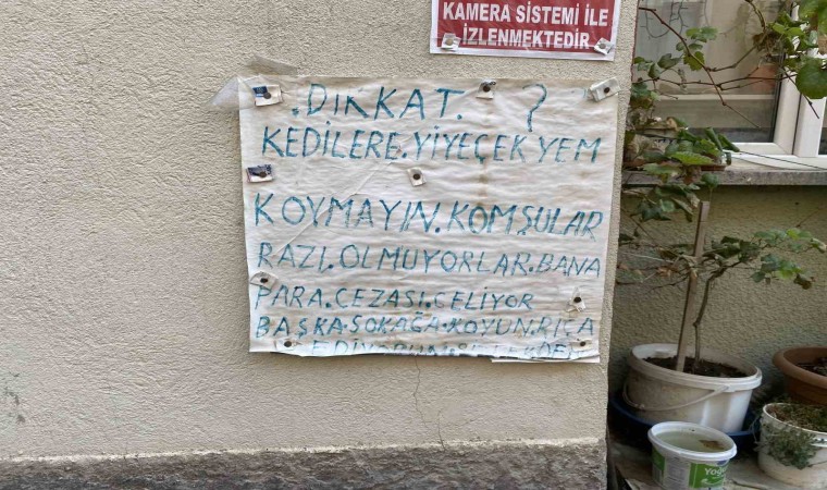 Ceza yediğini öne sürerek evinin önünde kedilere yem konulmamasını istedi