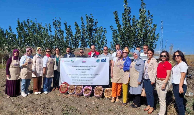 Çorumda “BizimOralı kadınların şifalı safran ve sarımsak projesine OKA desteği