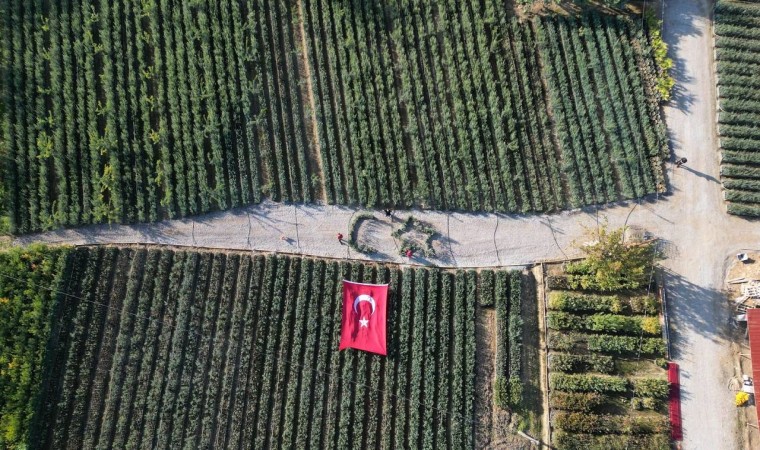 Cumhuriyetin 101 için zeytin fidanlarıyla Türk Bayrağını oluşturdu