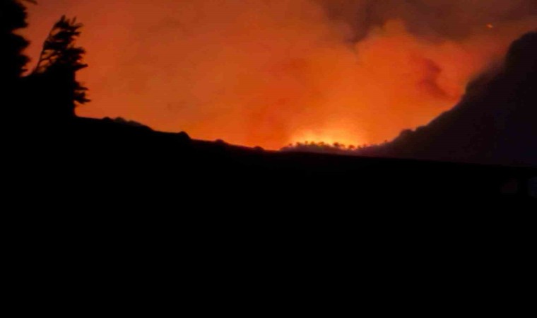 Denizlide 2. gününe giren yangından yükselen alevler geceyi aydınlattı